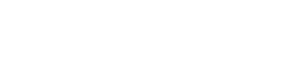 logo light