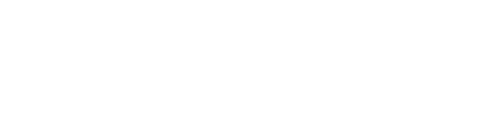 logo light